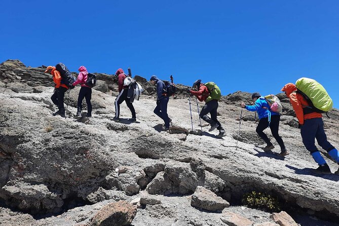 8 Day Mount Kilimanjaro Trekking Lemosho Route - Day 1: From Moshi to Lemosho Glades, then Mti Mkubwa campsite