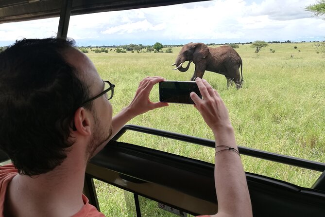 8-Day Private Guided Tanzania Safari with Pick Up - Price and logistics: why this costs $3,000 and where your money goes