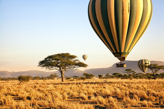 8 Day private wildebeest migration safari Serengeti Ngorongoro - Why This Migration Route Works on the Ground