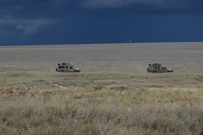 8 Day private wildebeest migration safari Serengeti Ngorongoro - Serengeti Game Drives: Plains Views, Predators, and River Signs