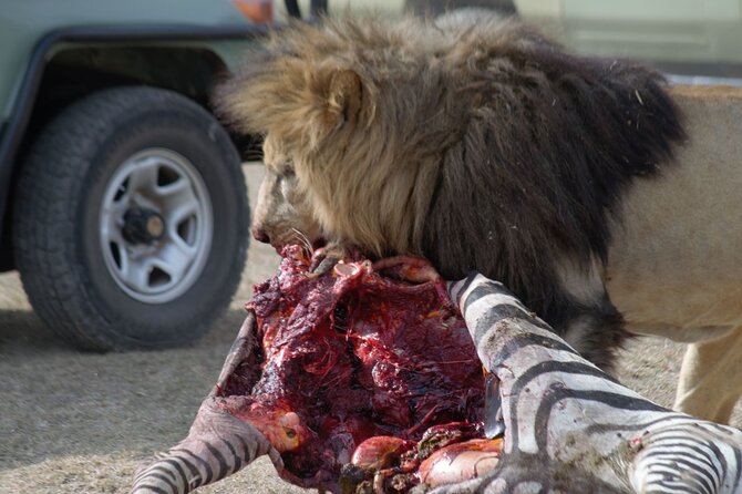 8 Day private wildebeest migration safari Serengeti Ngorongoro - Two Migration-Tracking Days, Moved by Season