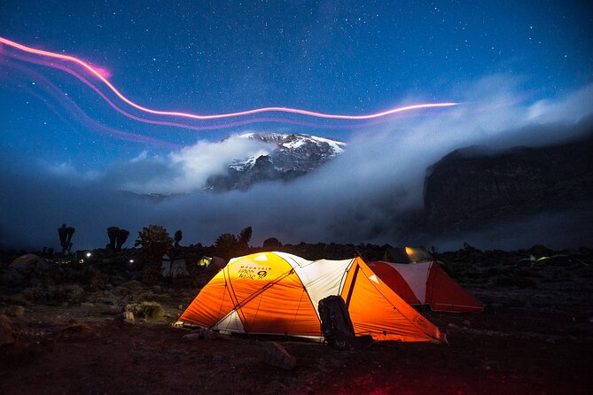 8-Day Small-group Lemosho Kilimanjaro Summit Trekking - Arusha Logistics That Reduce Stress: Transfers, Timing, and a Mobile Ticket