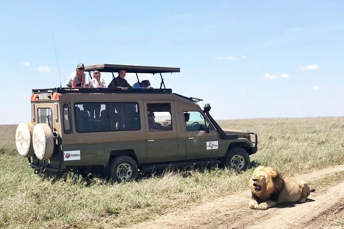 8 Day Spectacular Migration Serengeti mid -Range Tanzania Safari - A Northern Tanzania Safari That Actually Feels Efficient