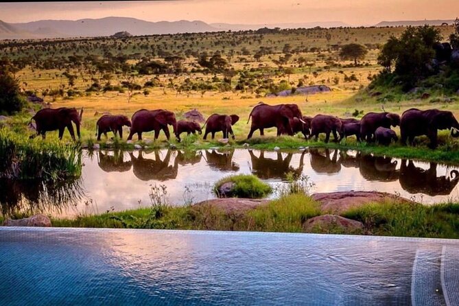 8-Day Tanzania Private Safari Tour with Airport Pickup - Lake Manyara: Rift Valley Setting Plus Birds Worth Your Camera Time