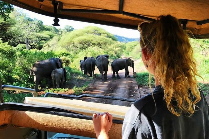 8-Day Tanzania Private Safari Tour with Airport Pickup - Price and Logistics: What $5,500 Per Person Really Buys