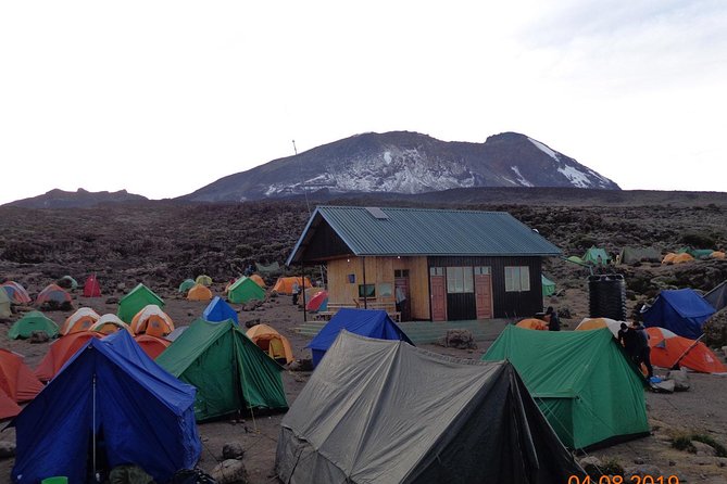 8 Days 7 Nights Kilimanjaro Lemosho Route - Moshi to Londorossi Gate: Starting With a Proper Game Plan