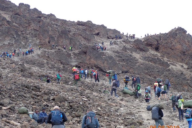 8 Days 7 Nights Kilimanjaro Lemosho Route - Day 7: Midnight Start to Stella Point Sunrise and Uhuru Peak