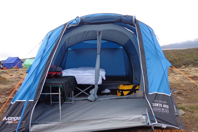 8 Days 7 Nights Kilimanjaro Lemosho Route - Day 8: Mweka Park Gate Certificates, Mud, and Back to Moshi