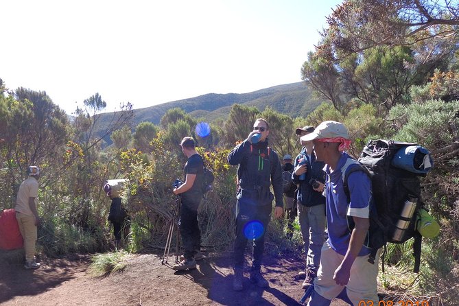 8 Days 7 Nights Kilimanjaro Lemosho Route - Days 1 to 3: Rain Forest to Shira Ridge and the Kibo Reveal