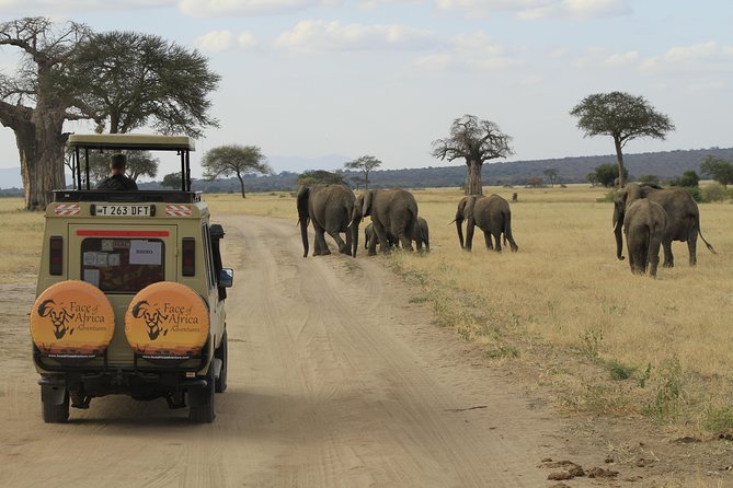 8 Days 7 Nights Private Lodge Safari - Key things that make this safari feel worth it