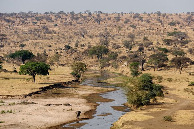 8 Days 7 Nights Tanzania Wildlife & Culture Lodge Safari - Ngorongoro rim night at Rhino Lodge, then a crater day that’s hard to top