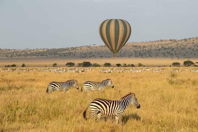 8 Days Follow the Wildebeest Migration River Crossing Safari - First Contact in Arusha, Then Straight Into Safari Mode