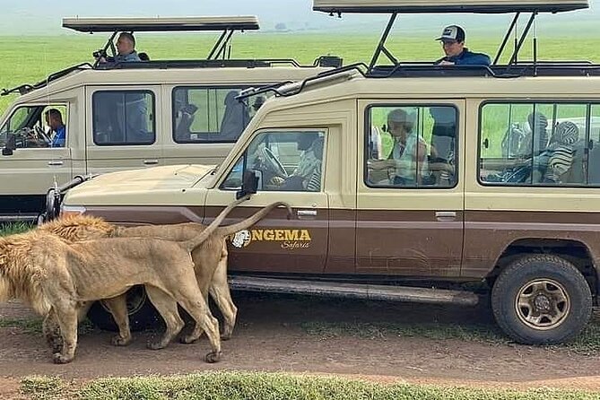 8 Days Follow the Wildebeest Migration River Crossing Safari - Wagakuria and Northern Serengeti: When Plains Look Like Theater
