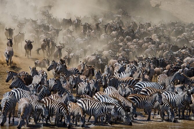 8 Days Follow the Wildebeest Migration River Crossing Safari - Central Serengeti: More Than the Big Five, More Than the Obvious