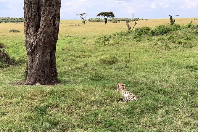 8 Days Great Wildebeest Calving Migration Safari from Arusha - Lake Manyara: Scenic Views and a Compact Game Circuit
