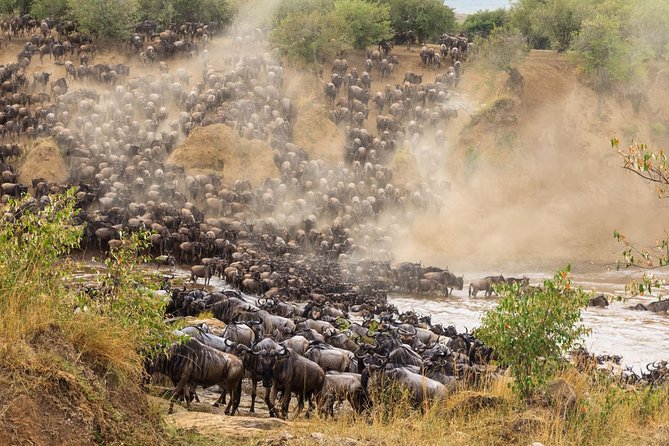 8 Days Great Wildebeest Migration - Mara River Crossing - Serengeti first: big animals before the migration focus