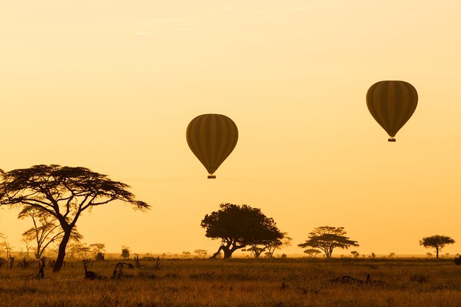 8 Days Green Season Offer - Luxury Serena Safari - Luxury Serena Safari: how the green season changes the feel