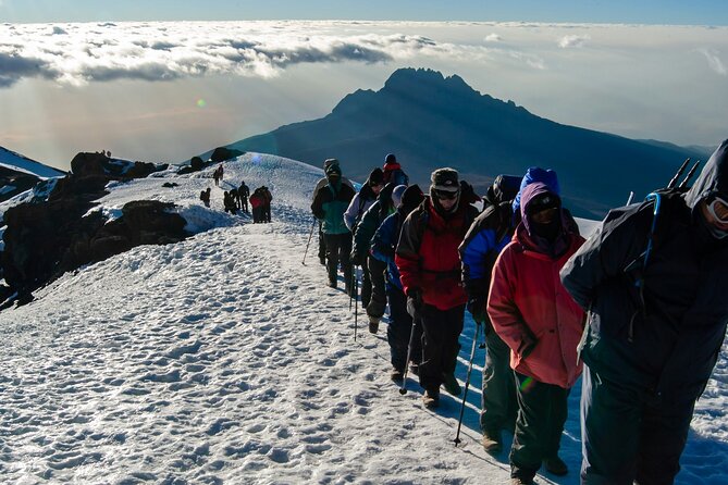 8 Days Guided Private Trekking in Mount Kilimanjaro - From Moshi to the Gate: How Your Trek Really Starts