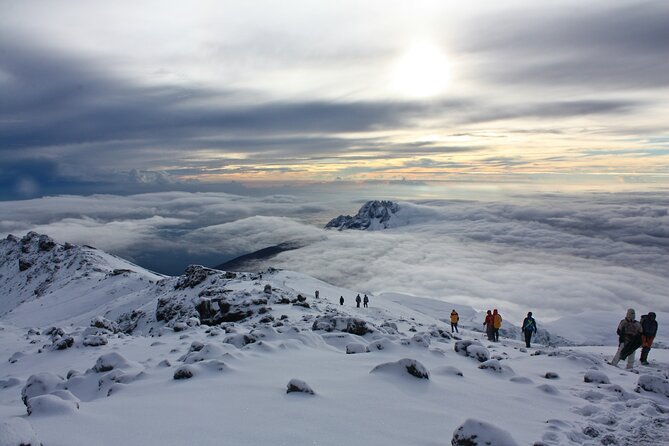 8 Days Guided Private Trekking in Mount Kilimanjaro - Day 7: The Summit Push to Uhuru Peak, then a Hard Descent