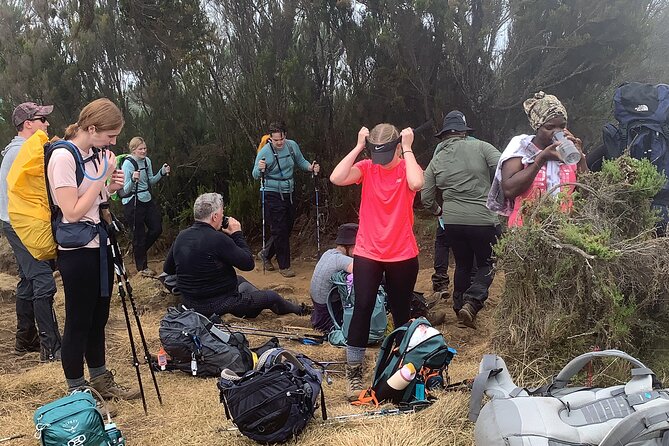 8 Days Guided Private Trekking in Mount Kilimanjaro - Day 8: Mweka Gate and the Walk Out Through Rainforest
