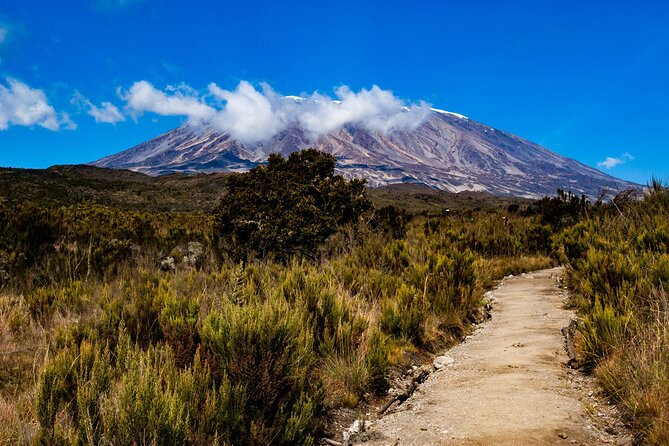 8 Days Guided Private Trekking in Mount Kilimanjaro - Day 1 to Day 3: Building Altitude Without Rushing It