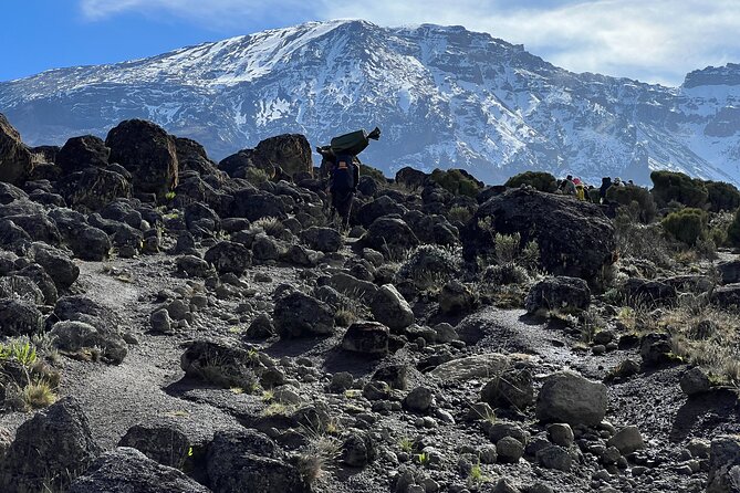8 Days Kilimanjaro Climbing Lemosho Route - Why the 8-Day Lemosho Route is such a smart choice