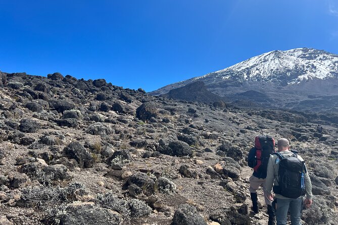 8 Days Kilimanjaro Climbing Lemosho Route - Day 5, the Great Barranco Wall to Karanga Camp