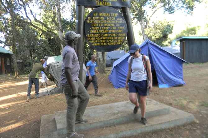 8 Days Kilimanjaro Climbing tour via the Lemosho Route - Day 2: Shira Plateau views at Shira 1 Camp (3,505m)