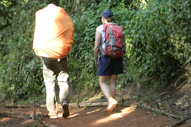 8 Days Kilimanjaro Climbing tour via the Lemosho Route - Day 3: Shira 2, Meru views, and the Lava Tower acclimatization hike