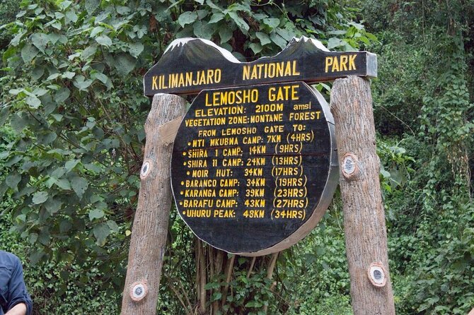 8 Days Kilimanjaro Climbing tour via the Lemosho Route - Day 4: Lava Tower (4,630m) and the Barranco setup
