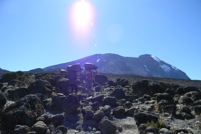 8 Days Kilimanjaro Climbing tour via the Lemosho Route - Moshi to Londorossi Gate: the start that matters