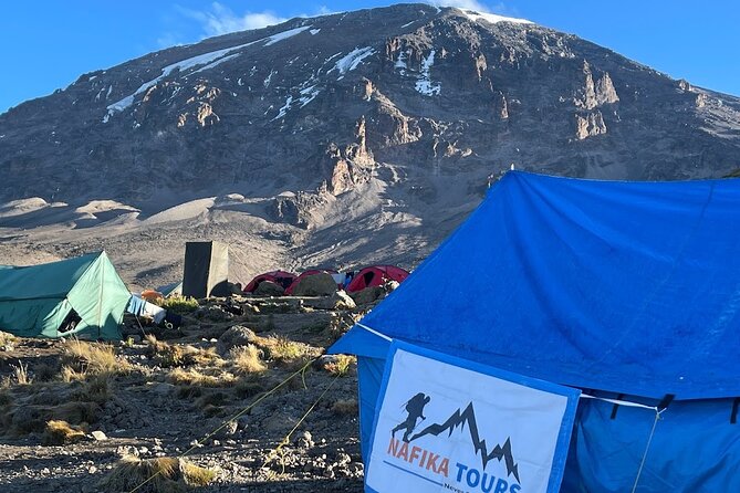 8 Days Kilimanjaro Hike via Lemosho Route - The Barranco wall moment and the short acclimatization stretch on Day 5