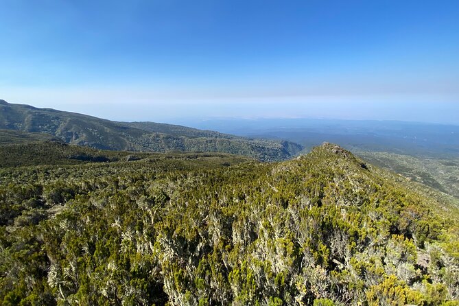 8 Days Lemosho Route - Day 4: Lava Tower and a memorable sunset at Barranco Camp