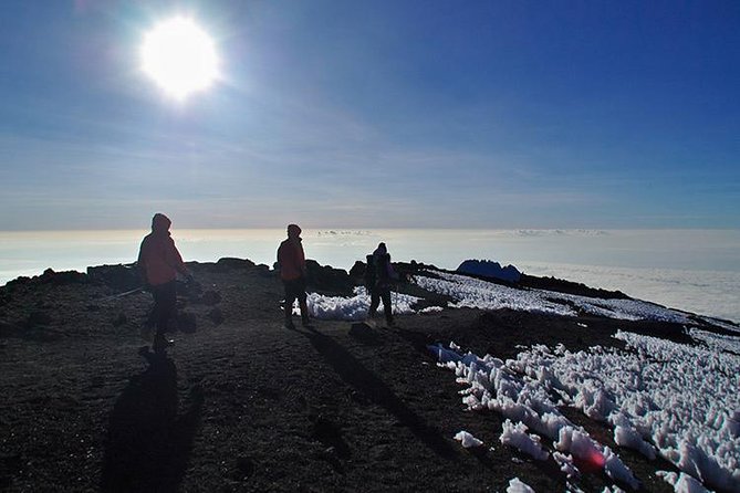 8 Days Lemosho Route Climbing - Why the extra days matter: acclimatization and your 8th-day buffer