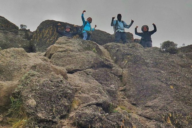 8 Days Lemosho Route Climbing - The summit push and Uhuru Peak: expect tough hours, then payoff