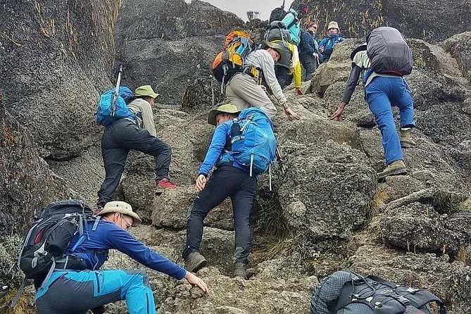 8 Days Lemosho Route Climbing - Your support team: Emmanuel, Patrick, and the Dream Team effect