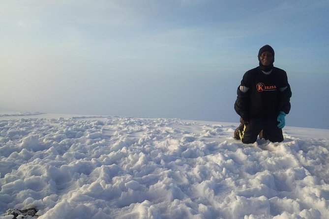 8 days Lemosho route Climbing Mt. Kilimanjaro - Rain forest to Shira Ridge: Shira 1 and the Kibo moment