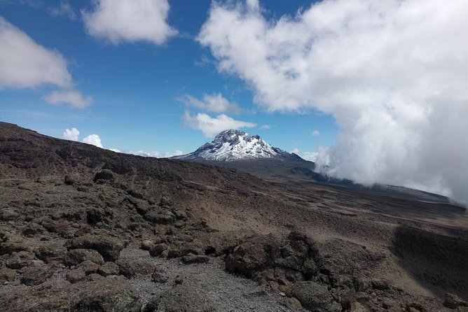 8 days Lemosho route Climbing Mt. Kilimanjaro - Lava Tower and Arrow Glacier to Barranco Hut: a smart drop day