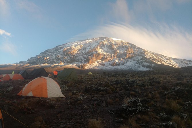 8 days Lemosho route Climbing Mt. Kilimanjaro - Great Barranco Wall to Karanga Camp: confidence-building climbing