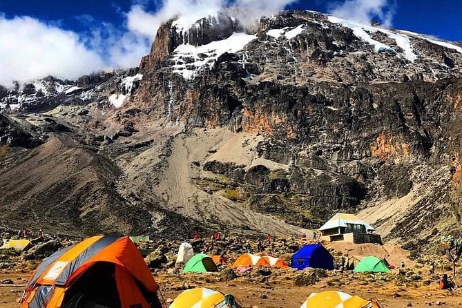 8 days Lemosho route Climbing Mt. Kilimanjaro - Mweka Gate celebration: certificates in green and gold