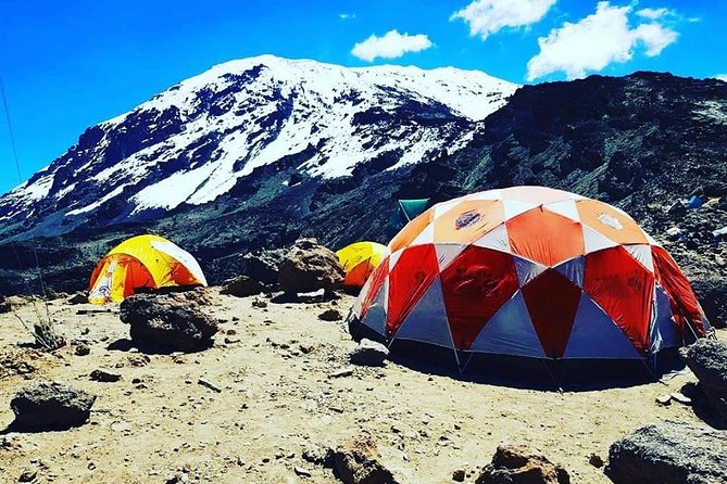 8 days Lemosho route Climbing Mt. Kilimanjaro - Shira Plateau, Lent Hills, and moir hut: acclimatization with purpose