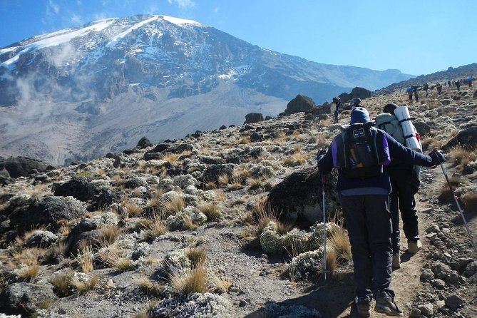 8 Days Lemosho Route Kilimanjaro Trekking - Key highlights to know before you go