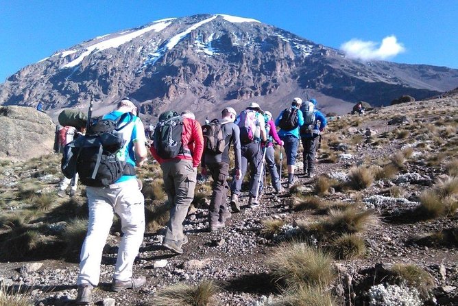 8 Days Lemosho Route Kilimanjaro Trekking - Arusha to Londorossi Gate: the day you set your pace