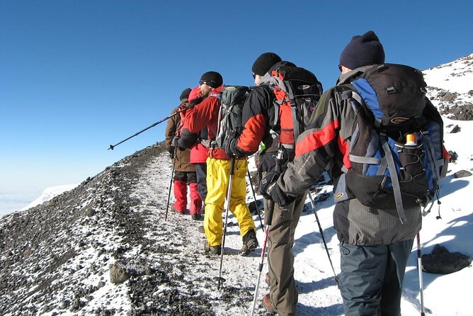 8 Days Mt Kilimanjaro Climb - Lemosho Route - Lemosho Route From Moshi: The Big Picture for Your 8-Day Climb