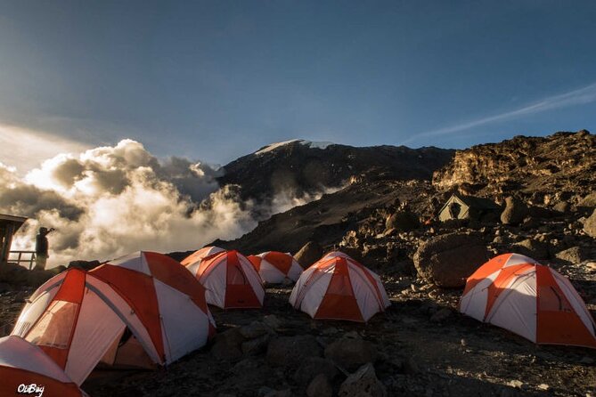 8 Days Mt Kilimanjaro Climb - Lemosho Route - Value Check: The $2,950 Price and What It Covers