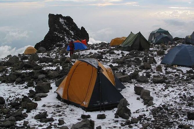 8 Days Mt Kilimanjaro Climb - Lemosho Route - Weather, Fitness, and Summit-Day Real Talk