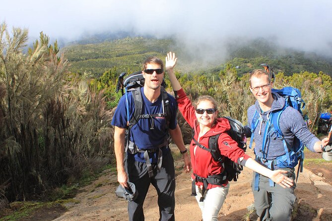 8 Days Mt Kilimanjaro Climb - Lemosho Route - FAQ