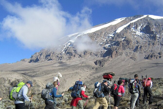 8 Days Mt Kilimanjaro Climb - Lemosho Route - Day-by-Day: What Happens on Each Mountain Day
