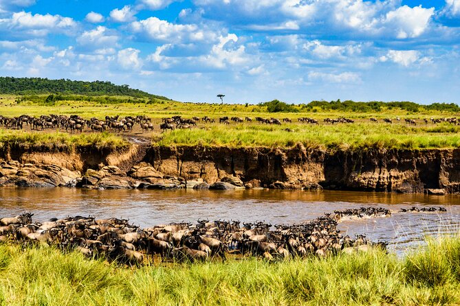 8 Days Private Safari in Serengeti Tour - Day 2: Tarangire National Park for elephants, baobabs, and dense dry-season wildlife