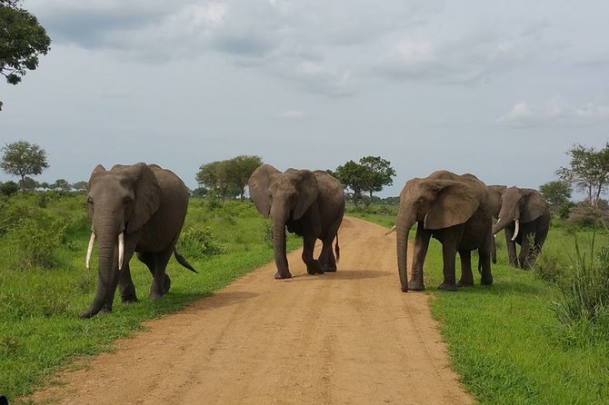 8 Days Safari to Mikumi NP, Ruaha NP and Nyerere NP + Isimila Stone Age Site - Isimila Stone Age Site: A Guided Canyon Walk, Not a Rushed Stop